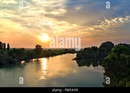 Estate alba sul fiume boscosa Foto Stock