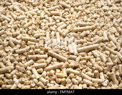 Pellet biomassa- close up studio shot Foto Stock