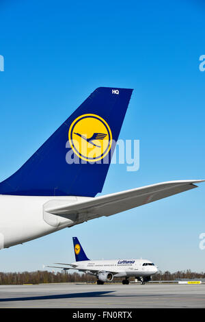 Airbus A 319-100, A319, 100, 340, A340, Lufthansa, LH, ala, stabilizzatore orizzontale, fin, timone, aeromobili, aeroporto, line up, Foto Stock