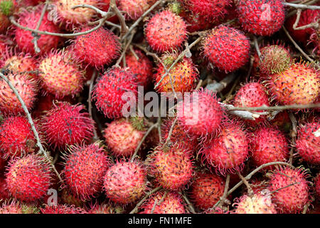 Il Lychee frutta, mercato, Hoi An, Vietnam Foto Stock