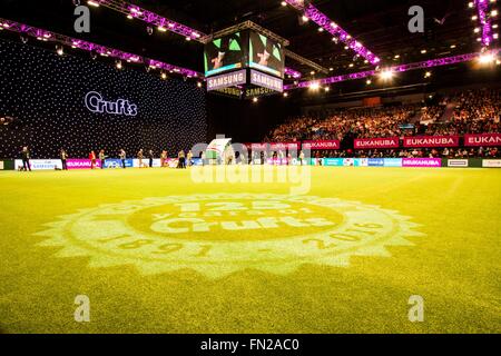 Birmingham, 13 marzo 2016. Terrier gruppo giudicare avviene nella principale arena il giorno finale di Crufts 2016. Credito: Jon Freeman/Alamy Live News Foto Stock