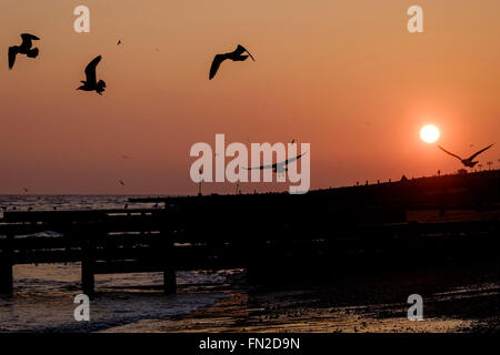 Tramonto su 13/03/2016 presso il lungomare, Worthing. Nella foto: Seaguls prendere il volo. Foto di Julie Edwards Foto Stock