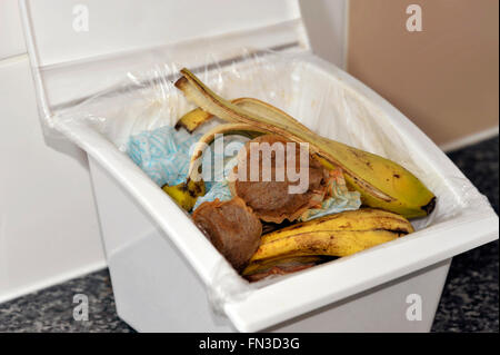 Cucina rifiuti alimentari in un lidded cassone di raccolta con carta, bustine di tè e bucce di banana per il riciclaggio su un mucchio di composto. Foto Stock