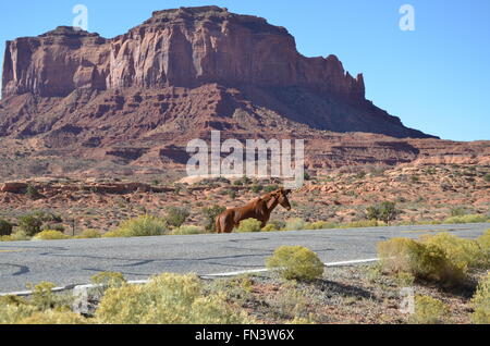 Scena da intorno ai quattro angoli / Monument Valley zone del sud-ovest degli Stati Uniti. Foto Stock