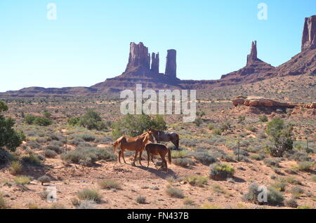 Scena da intorno ai quattro angoli / Monument Valley zone del sud-ovest degli Stati Uniti. Foto Stock