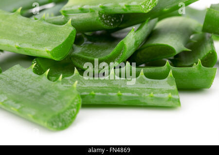Aloe vera fette isolato su uno sfondo bianco. Foto Stock
