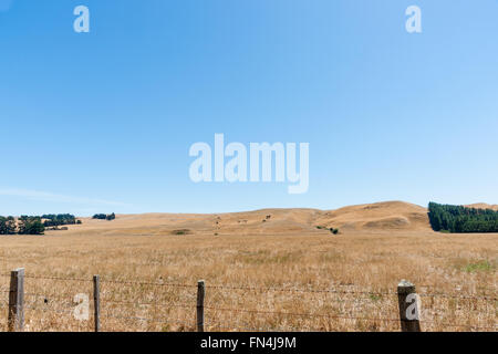 Vista sulla recinzione attraverso le pianure di basse colline di secco colpite dalla siccità farmland Wairarapa Nuova Zelanda come sole sorge Foto Stock