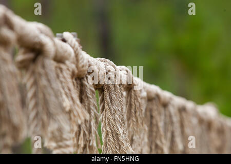 Corda con legato il nodo di un ponte sospeso Foto Stock