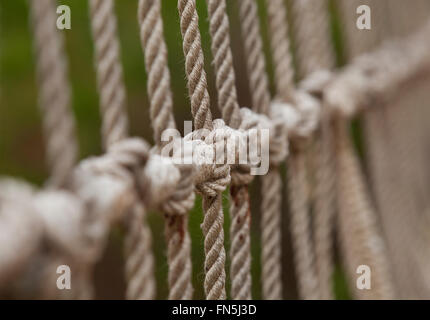 Corda con legato il nodo di un ponte sospeso Foto Stock