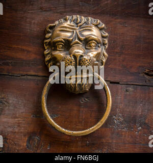 Porta vecchia respingente di gestire in forma di una testa di leone su una porta di legno. Foto Stock