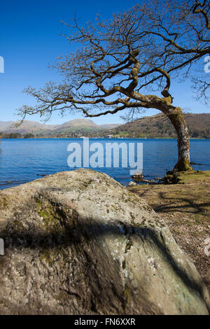 Rachael Oakden e famiglia, marito Luciano, e i figli Arthur (arancione in alto) e Henry (la più piccola e la più giovane) Godetevi il percorso ciclabile lungo la sponda occidentale del lago di Windermere nel Lake District dopo biciclette a noleggio da bassa Wray campeggio. Nella foto qui - una vista sul lago di Windermere verso Ambelside. Foto Stock