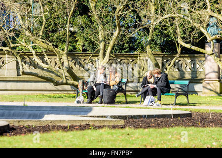 Lund, Svezia - 12 Marzo 2016: Sconosciuto giovani adulti seduti su una panchina nel parco mentre guarda il Depliant o cataloghi. L'uni Foto Stock