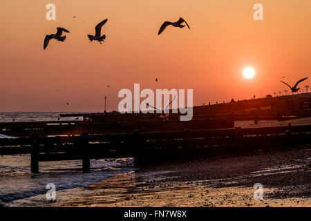 Tramonto su 13/03/2016 presso il lungomare, Worthing. Nella foto: Seaguls prendere il volo. Foto di Julie Edwards Foto Stock