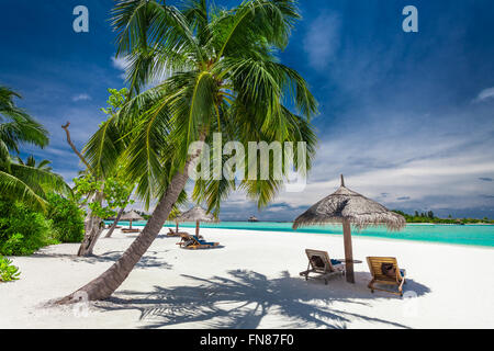 Costa tropicale con palme e bella sabbia. Esotica spiaggia scena. Foto Stock