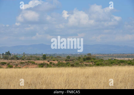 Africa - Kenya: il ngong hills dal calore scintillante del parco nazionale di Nairobi Foto Stock
