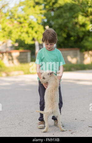 Ragazzo giocando con il cane Foto Stock