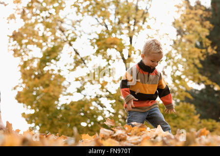 Un giovane ragazzo giocando in una grande pila di rastrellamento di foglie di autunno. Foto Stock