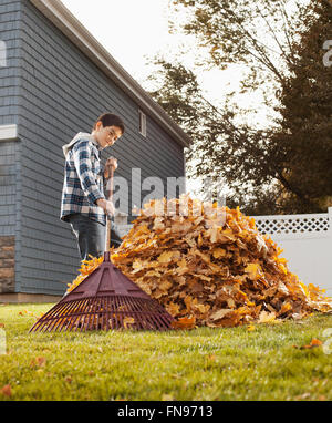 Un ragazzo a rastrellare un enorme mucchio di foglie di autunno. Foto Stock