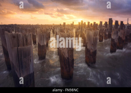 Onde che si infrangono contro molo in legno palificazioni, Melbourne, Victoria, Australia Foto Stock