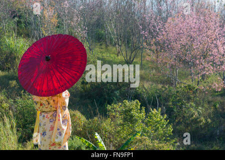 Donna che indossa un kimono con ombrellone rosso Foto Stock
