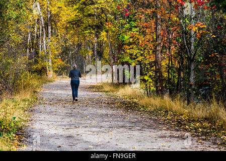 La donna a fare jogging nel parco, British Columbia, Canada Foto Stock