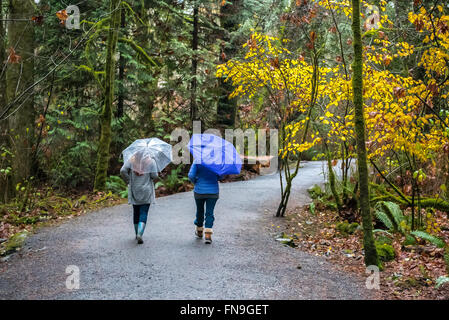 Due donne jogging sotto la pioggia con ombrelloni, Victoria, British Columbia, Canada Foto Stock