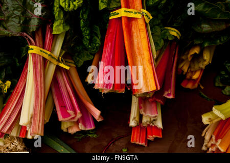 Gli stocchi di rabarbaro su una bancarella di strada in Seattle Washington STATI UNITI D'AMERICA Foto Stock