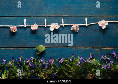 Concettuale linea di vestiti fatti di fiori Foto Stock