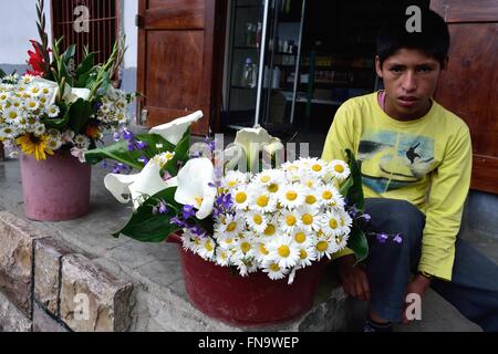 Fiori - stallo ' La Samaritana Square ' di HUANCABAMBA. Dipartimento di Piura .PERÙ Foto Stock