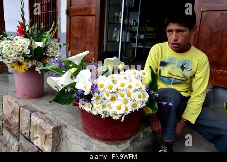 Fiori - stallo ' La Samaritana Square ' di HUANCABAMBA. Dipartimento di Piura .PERÙ Foto Stock