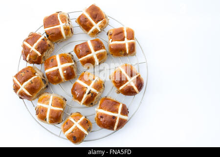 Pane appena sfornato, pasqua, hot cross panini isolato su un fondo bianco. Foto Stock