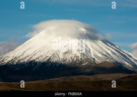 Imponente Ngauruhoe stratovulcano è il più giovane dei vulcani attivi nel Parco Nazionale di Tongariro. Il suo cratere è 2291 m di altezza Foto Stock