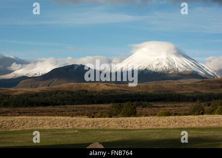 Imponente Ngauruhoe stratovulcano è il più giovane dei vulcani attivi nel Parco Nazionale di Tongariro. Il suo cratere è 2291 m di altezza Foto Stock