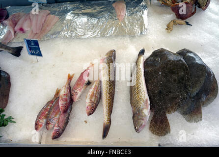 Pesce fresco in stallo nel mercato, Pont-l'Évêque Foto Stock