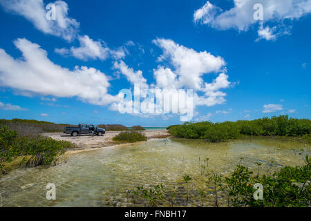 Bella Bonaire con i suoi splendidi paesaggi e spiagge e stupende barriere coralline. Un paradiso per gli sport acquatici e per gli amanti della natura Foto Stock