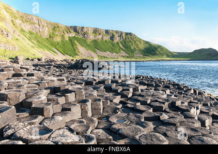 Giants Causeway, unica formazione geologica delle rocce e dirupi nella contea di Antrim, Irlanda del Nord, nella luce del tramonto Foto Stock