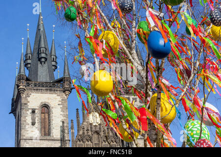 Uova dell'albero di Pasqua ceco appese ai rami uova colorate simbolo tradizionale della primavera di fronte alla Piazza della città Vecchia della Chiesa di Tyn, Praga Repubblica Ceca Foto Stock