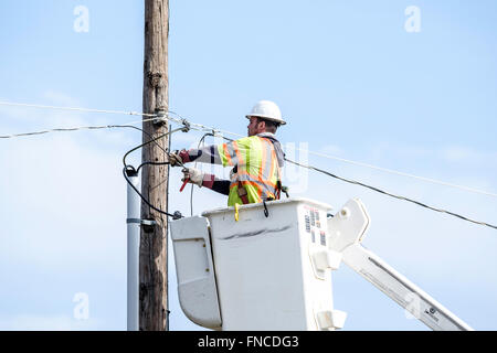 Un American lineman riparazioni linee elettriche aeree da sollevare la benna in Oklahoma City, Oklahoma, Stati Uniti d'America. Foto Stock