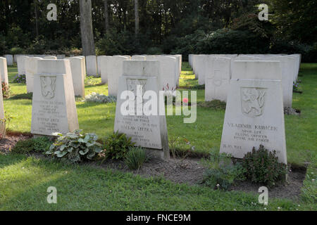 Una linea di lapidi polacco nel CWGC Joncurbos Cimitero di Guerra, Nijmegen, Paesi Bassi. Foto Stock