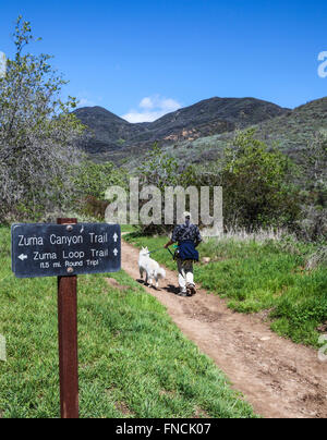 Escursionista e cane sulla Zuma Canyon Trail in Malibu Foto Stock