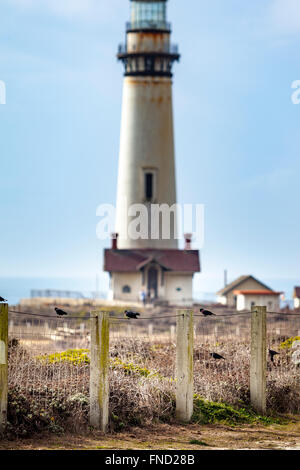 Pigeon Point Lighthouse lungo le coste della California Highway 1 Foto Stock