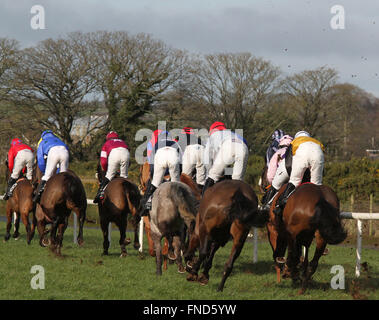 Corse di cavalli a giù Royal, Lisburn Irlanda del Nord. Foto Stock