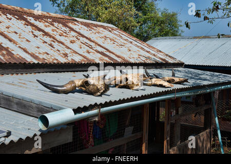 Bufalo d'acqua teschi sul tetto, credenza locale in Mindat, Stato Chin Stato, Myanmar Foto Stock