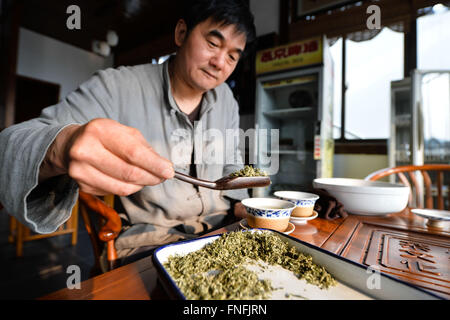 (160315) -- SUZHOU, Marzo 15, 2016 (Xinhua) -- Yan Jielong rende tè Biluochun nella città di Dongshan, Suzhou City di oriente cinese della provincia di Jiangsu, Marzo 14, 2016. Yan Jielong, 53 anni, erede dell'antica tecnica di realizzazione di tè cinese Biluochun, ha imparato che la specialità poiché era 16 anni. Che richiedono elevati standard di realizzazione tecnica, Biluochun il tè è la specialità di Dongshan città dove la gente che conoscono l'antica tecnica di realizzazione sono per la maggior parte nel loro 50s. Yan e altri eredi hanno preso il video del loro metodo e spero possano un giorno di aprire una scuola per esso e passare sul techni Foto Stock