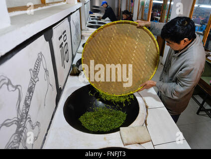 (160315) -- SUZHOU, Marzo 15, 2016 (Xinhua) -- Yan Jielong si prepara a cuocere Biluochun tè nella città di Dongshan, Suzhou City di oriente cinese della provincia di Jiangsu, Marzo 14, 2016. Yan Jielong, 53 anni, erede dell'antica tecnica di realizzazione di tè cinese Biluochun, ha imparato che la specialità poiché era 16 anni. Che richiedono elevati standard di realizzazione tecnica, Biluochun il tè è la specialità di Dongshan città dove la gente che conoscono l'antica tecnica di realizzazione sono per la maggior parte nel loro 50s. Yan e altri eredi hanno preso il video del loro metodo e spero possano un giorno di aprire una scuola per esso e passa su Foto Stock