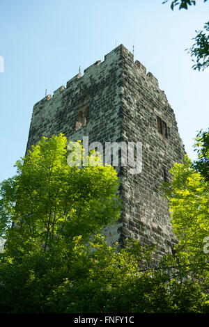 Deutschland, Königswinter, Drachenfels, Burgruine Burg Drachenfels Foto Stock