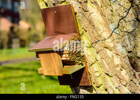 Un insetto house hotel o attaccato ad un tronco di albero. Molti insetti bisogno di luoghi di ibernazione durante l'inverno. Questa piccola unità fornisce Foto Stock