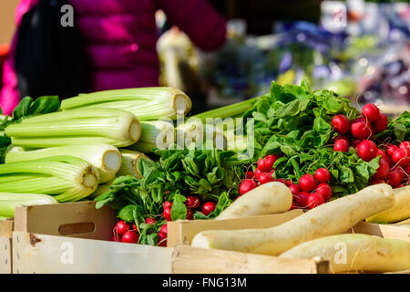 Sedano, ravanello e daikon in vendita al mercato. Attenzione sulla red ravanelli. Foto Stock