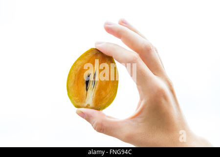 La metà della frutta sapodilla tenuto in mano di una giovane donna, isolato su bianco. Foto Stock