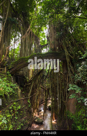 Dragon Bridge nel sacro Santuario della Foresta delle Scimmie, Ubud, Bali, Indonesia Foto Stock